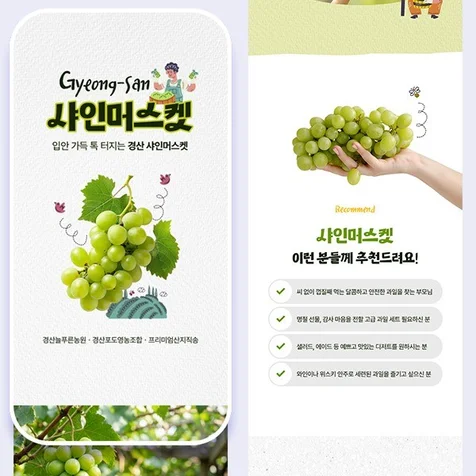 포트폴리오-샤인머스켓 상세페이지 디자인 + 기획