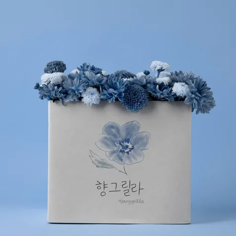 포트폴리오-세탁세제 로고|향그릴라 (Hyanggrilla)