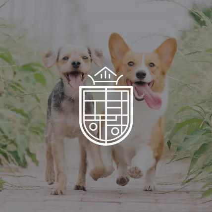 포트폴리오-도담하랑 로고