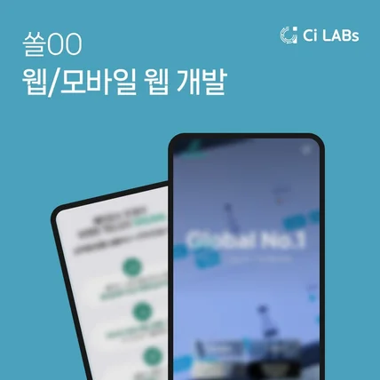 포트폴리오-쏠00 웹/모바일 웹 개발