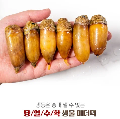 포트폴리오-해산물 미더덕 생물 간장조림 상세페이 제작 디자인 기획
