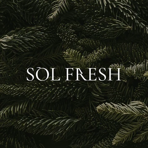 포트폴리오-SOL FRESH