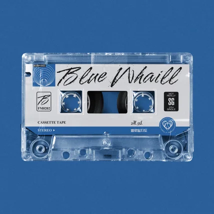 포트폴리오-BLUE WHAILL - 별로일지도 앨범커버