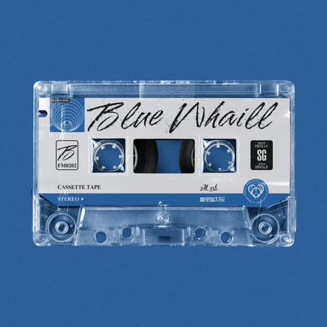 포트폴리오-BLUE WHAILL - 별로일지도 앨범커버
