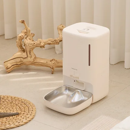 포트폴리오-[촬영/조명/연출/보정] PEBBLE PET 2차 룩북 촬영