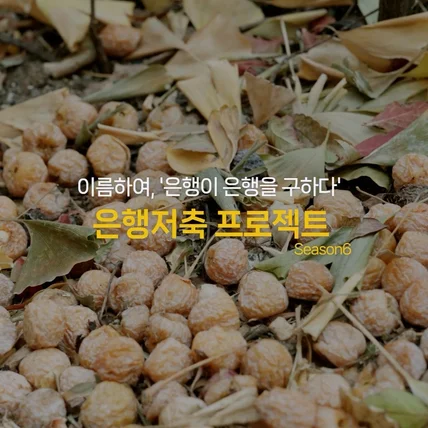 포트폴리오-[촬영/편집] SBI저축은행 은행저축프로젝트 시즌6