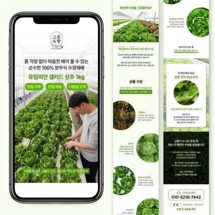 포트폴리오-농산물 채소 유럽피안 상추 상세페이지