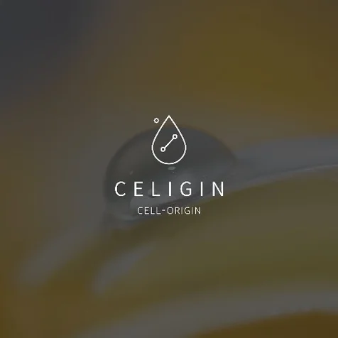 포트폴리오-CELIGIN (바이오 비지니스)