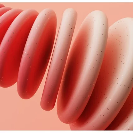 포트폴리오-심플 홈페이지 제작