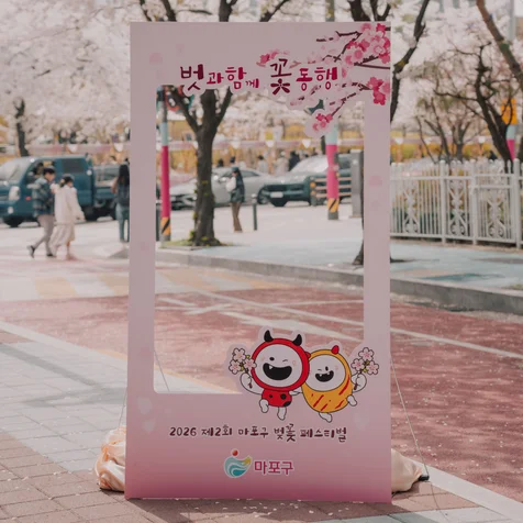 포트폴리오-[촬영/보정] 제2회 마포구 벚꽃 페스티벌