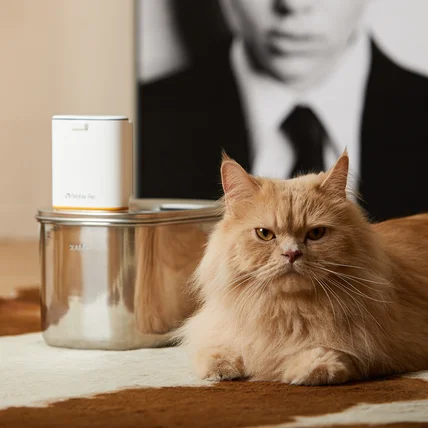 포트폴리오-[촬영/조명/연출/보정] 페블펫  반려동물 자동급수기 룩북 촬영