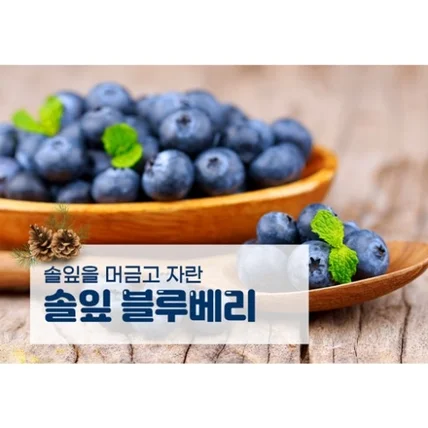 포트폴리오-솔잎 블루베리 상세페이지