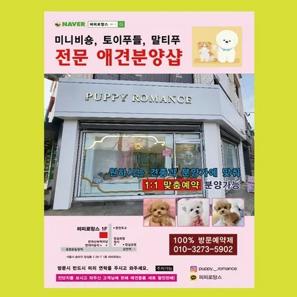 포트폴리오-반려동물 분양샵 전단지