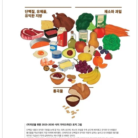 포트폴리오-박용우 저자의 /내 몸을 바꾸는 집밥테라피/ 본문 내 식품군 및 영양 가이드 관련 일러스트