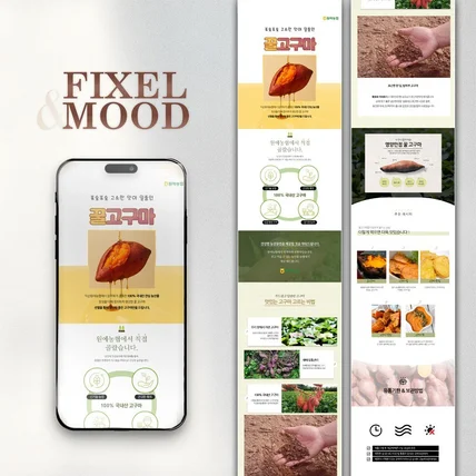 포트폴리오-농협 꿀고구마