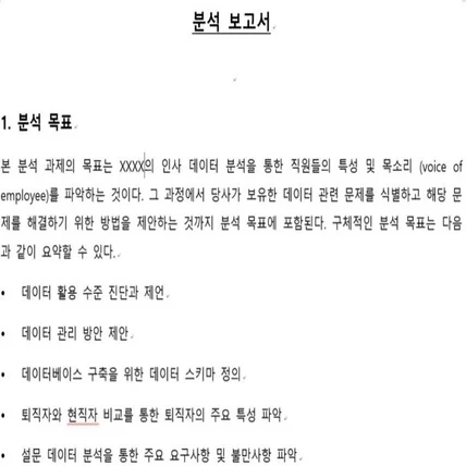 포트폴리오-인사 데이터 분석 기반의 직원 및 데이터 관리 방안 도출 보고서