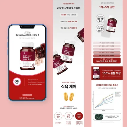 포트폴리오-양춘사 보르솔산