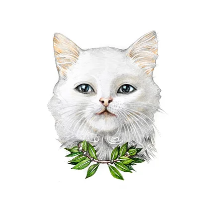 포트폴리오-고양이 캐리커쳐 일러스트