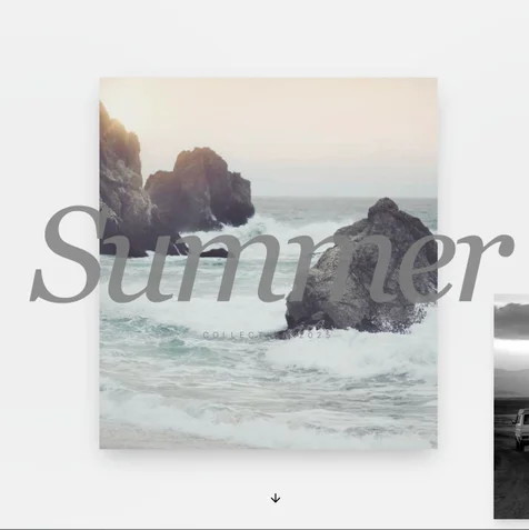 포트폴리오-Summer