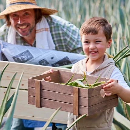 포트폴리오-[사진촬영] 2020 퀸즈베라 알로에 치약 광고사진