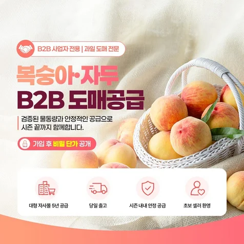 포트폴리오-도매업체 카드뉴스