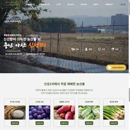 포트폴리오-신성1리 농산물의 신선함과 건강함이 가득한 "신성1리 마을" 홈페이지 제작