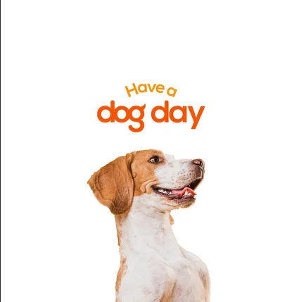 포트폴리오-HAVE A DOG DAY