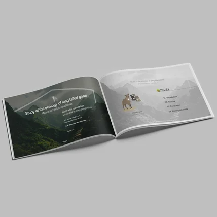 포트폴리오-지미 그래픽스 포트폴리오