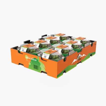 포트폴리오-Package 3D styling