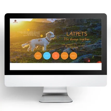 포트폴리오-LATPETS 애견 목걸이 펫 주얼리