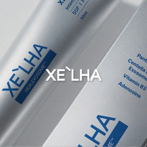 포트폴리오-Xe-lha