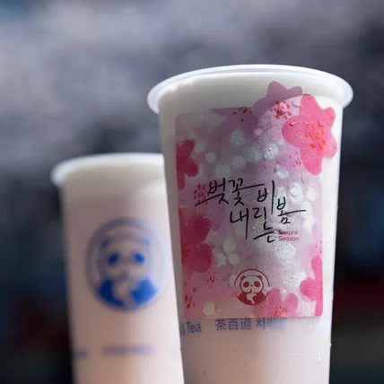 포트폴리오-[촬영/보정] 차백도 신촌점 신규음료 촬영