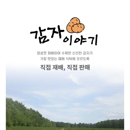 포트폴리오-식품_감자