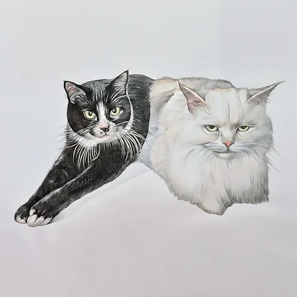 포트폴리오-고양이 색연필화 + 액자