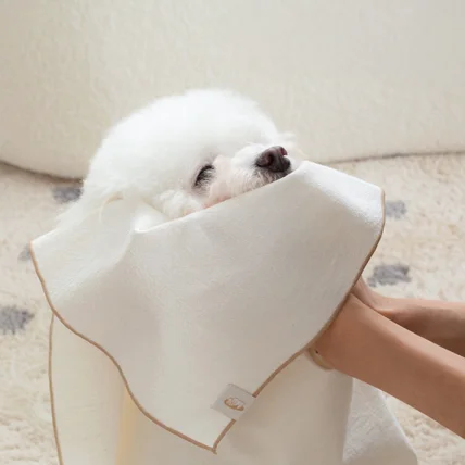 포트폴리오-[애견모델섭외/촬영/조명/보정] 25 S/S 반려동물 브랜드 촬영