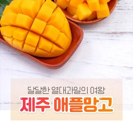 포트폴리오-제주 애플망고 상세페이지