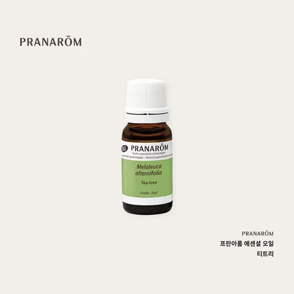 포트폴리오-PRANAROM