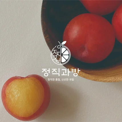 포트폴리오-과일가게로고 로고 로고디자인 로고제작 BI CI