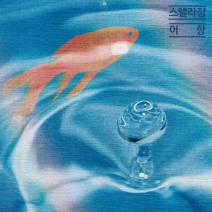 포트폴리오-스텔라장 - 어항 (Album Cover Redesign) 앨범 아트 리디자인