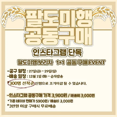 포트폴리오-인스타 광고