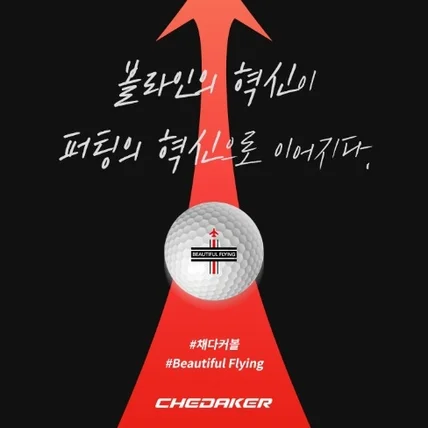 포트폴리오-채다커 / 신제품 소개 카드뉴스
