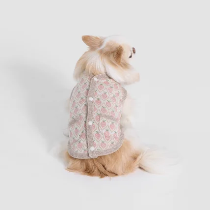 포트폴리오-[촬영/조명/모델]강아지 옷 브랜드 제품 촬영