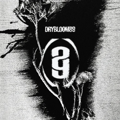 포트폴리오-DRY BLOOM 89 | 패션 브랜드 | 로고제작