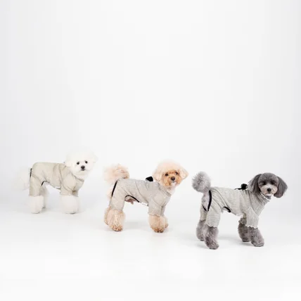 포트폴리오-[애견모델섭외/촬영/조명/보정] 25 S/S 의류촬영