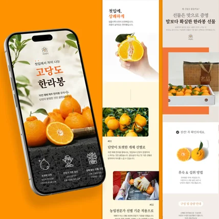 포트폴리오-한라봉 선물세트 상세페이지 디자인