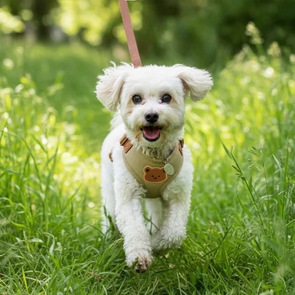 포트폴리오-보동보동 무자극핏 상세페이지