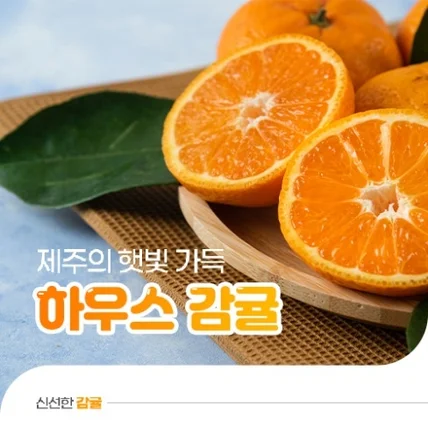 포트폴리오-제주 하우스감귤 상세페이지