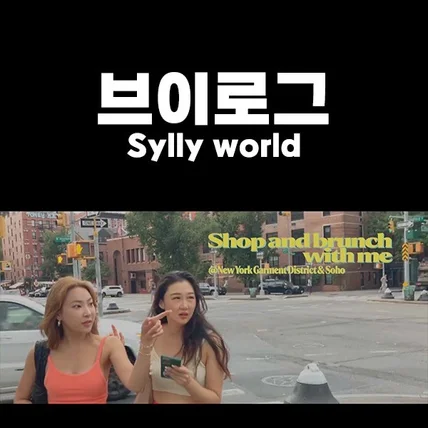 포트폴리오-[편집/모션그래픽] 김장미 Sylly world 쇼핑 브이로그