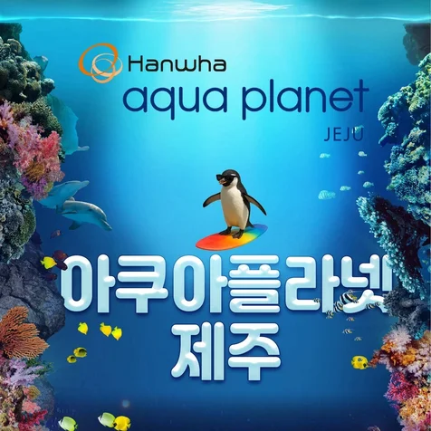 포트폴리오-아쿠아플라넷 제주