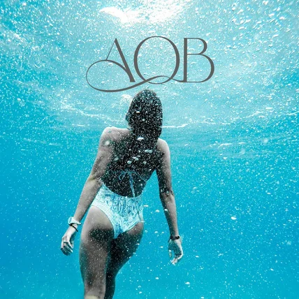 포트폴리오-[AOB] 패션브랜드